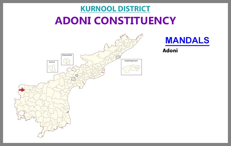 AP Elections Adoni 2024 Results Comparison To 2019 Candidates And Voters Details