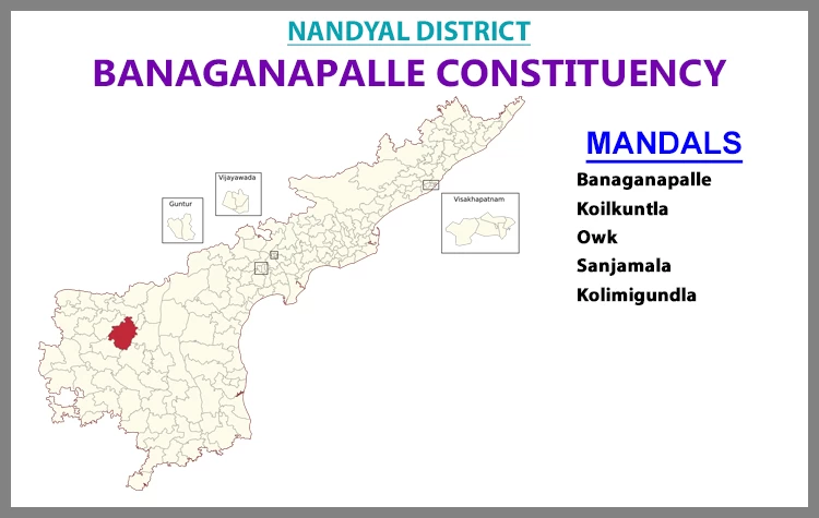 AP Elections Banaganapalle 2024 Results Comparison To 2019 Candidates And Voters Details