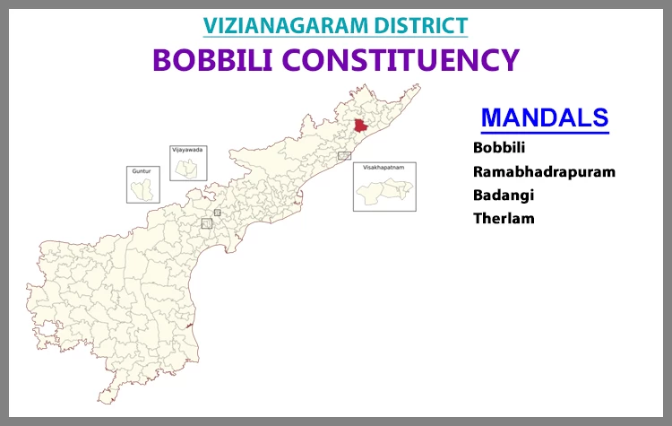 AP Elections Cheepurupalli 2024 Results Comparison To 2019 Candidates And Voters Details