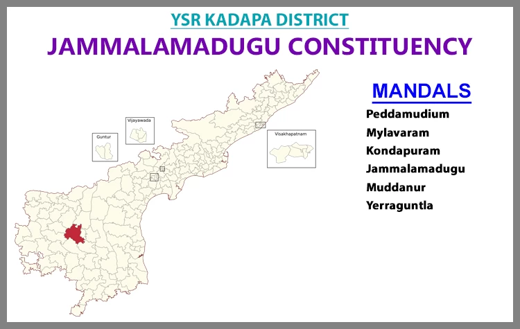 AP Elections Jammalamadugu 2024 Results Comparison To 2019 Candidates And Voters Details