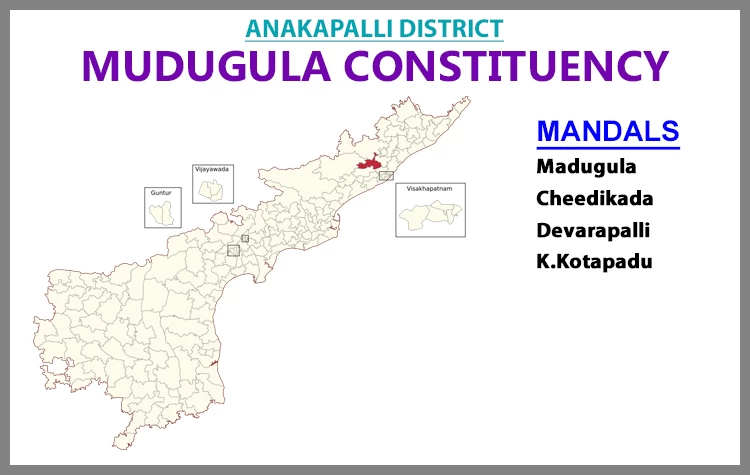 AP Elections Madugula 2024 Results Comparison To 2019 Candidates And Voters Details