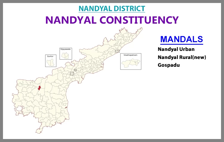 AP Elections Nandyal 2024 Results Comparison To 2019 Candidates And Voters Details