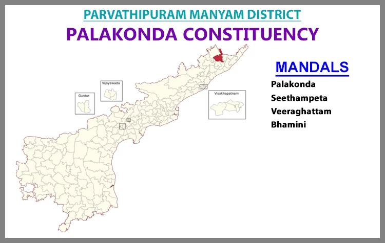 AP Elections Palakonda 2024 Results Comparison To 2019 Candidates And Voters Details