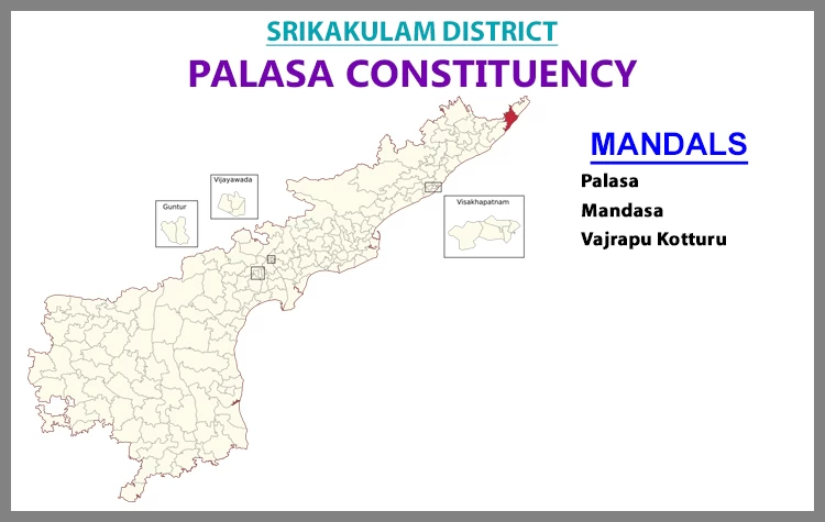 AP Elections Palasa 2024 Results Comparison To 2019 Candidates And Voters Details