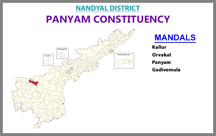 AP Elections Panyam 2024 Results Comparison To 2019 Candidates And Voters Details