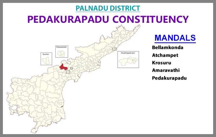 AP Elections Pedakurapadu 2024 Results Comparison To 2019 Candidates And Voters Details