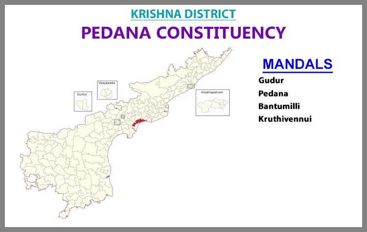 AP Elections Pedana 2024 Results Comparison To 2019 Candidates And Voters Details