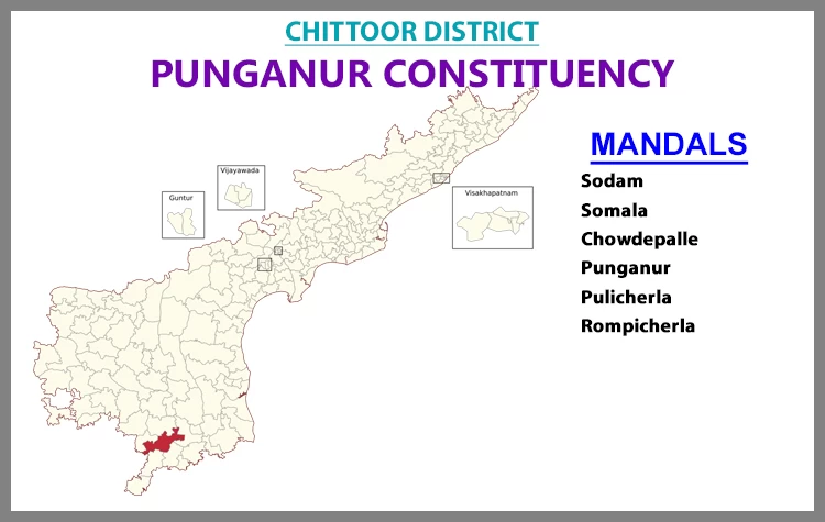 AP Elections Punganur 2024 Results Comparison To 2019 Candidates And Voters Details