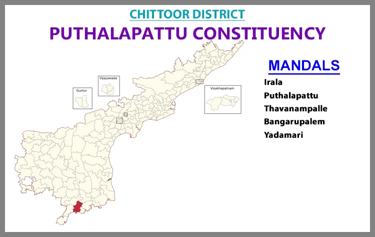 AP Elections Puthalapattu 2024 Results Comparison To 2019 Candidates And Voters Details