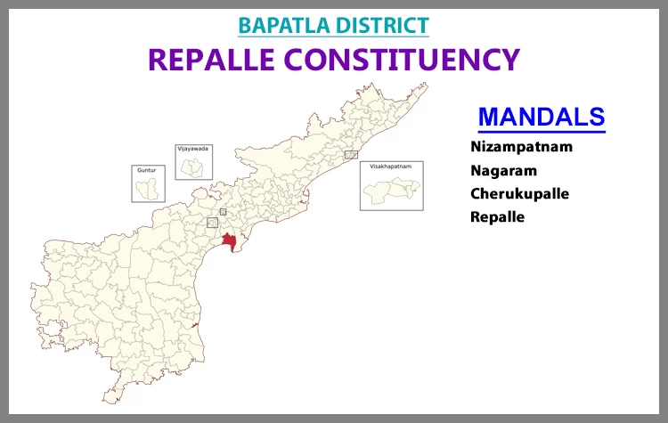 AP Elections Repalle 2024 Results Comparison To 2019 Candidates And Voters Details