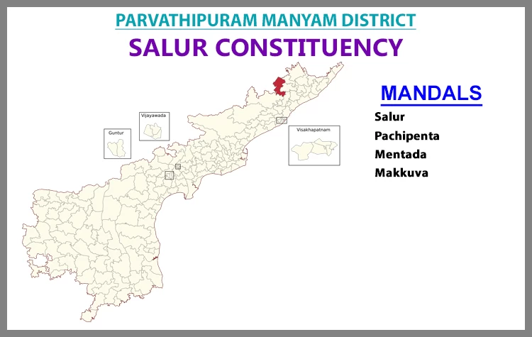 AP Elections Salur 2024 Results Comparison To 2019 Candidates And Voters Details