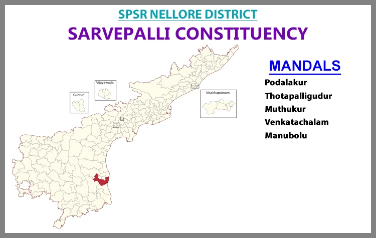 AP Elections Sarvepalli 2024 Results Comparison To 2019 Candidates And Voters Details