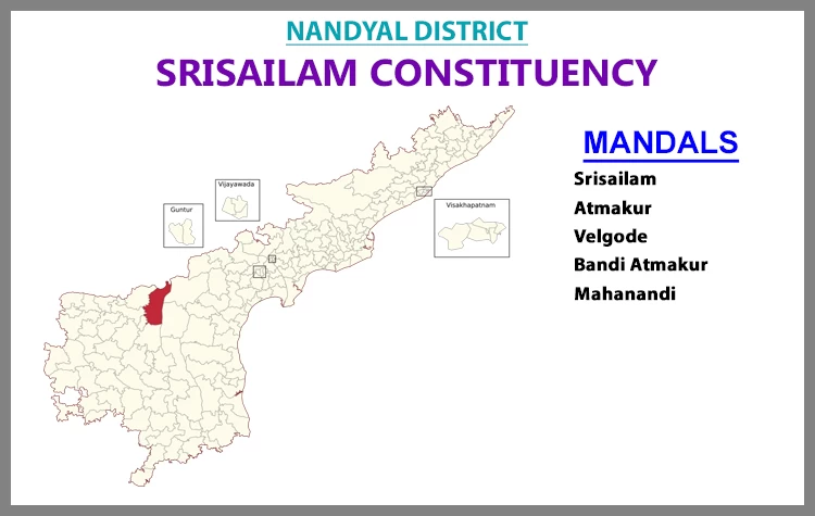 AP Elections Srisailam 2024 Results Comparison To 2019 Candidates And Voters Details