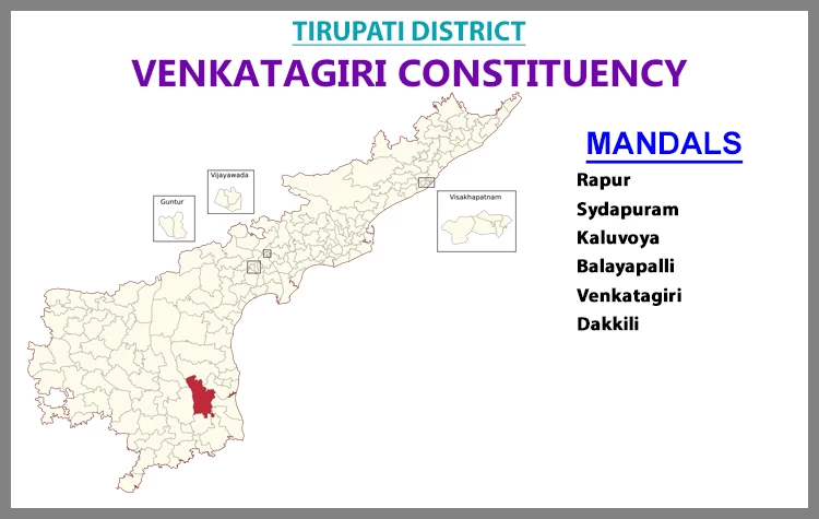 AP Elections Venkatagiri 2024 Results Comparison To 2019 Candidates And Voters Details