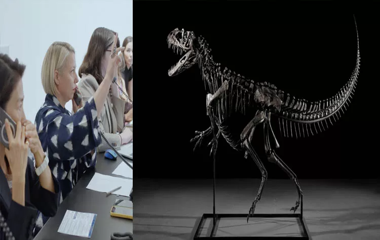 Dinosaur Fossil Sold For ₹263 Crores In Sotheby's Auction