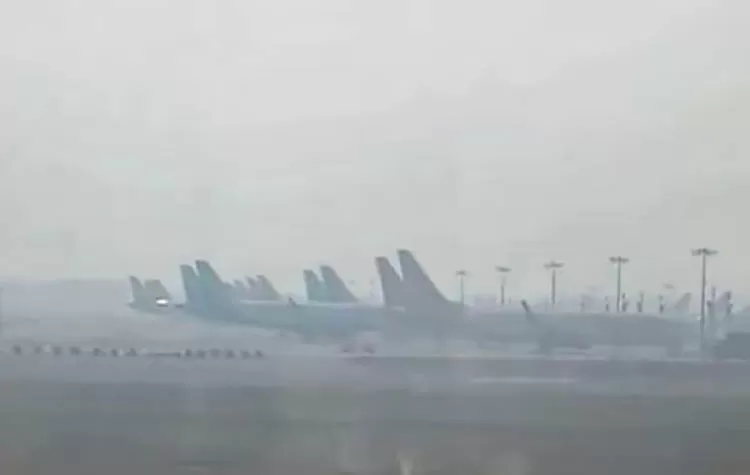 Fog Effect In North India: More Than 200 Flights Delayed