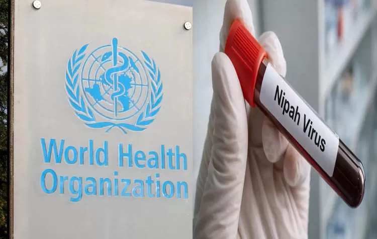 No Risk To Other Countries From Nipah: World Health Organization