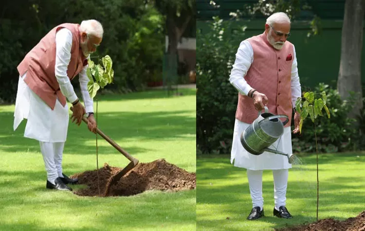 PM Modi Plants 'Sindoor' Sapling On Environment Day