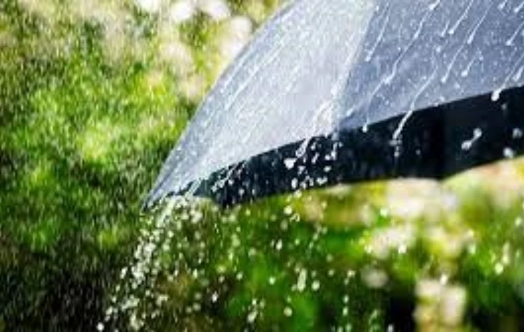 Telugu States On Alert: Cyclone Threat And Heavy Rain Forecasted By IMD