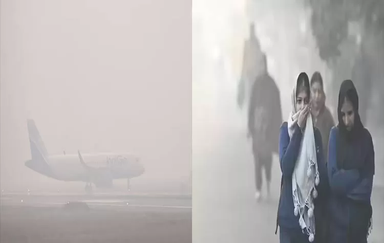 Red Alert In Delhi As Dense Fog Disrupts Travel