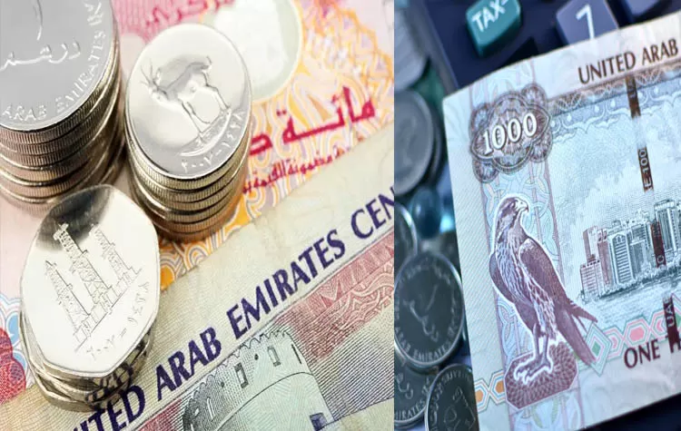 Rupee Declines As UAE Remittances Increase Sharply