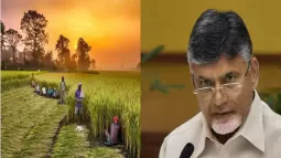 'Annadatha Sukhibhava' Scheme To Be Launched This Month: CM Chandrababu Naidu
