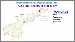 AP Elections Salur 2024 Results Comparison To 2019 Candidates And Voters Details
