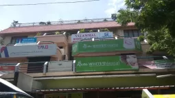 Apollo Dental, Adyar, Chennai