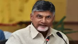 Chandrababu Naidu To Unveil 'BC Declaration': Focus On Advancement Of Backward Classes