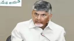 CM Chandrababu Launches 'Stree Shakti' Scheme In Andhra Pradesh