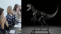 Dinosaur Fossil Sold For ₹263 Crores In Sotheby's Auction
