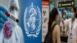 Ebola Virus Alert In India: Health Checks Increase At Airports