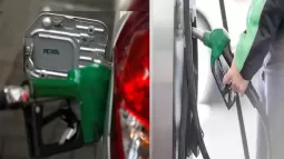 Ethanol‑Blended Petrol: Is 20 % Ethanol Petrol Safe? Central Government Explains
