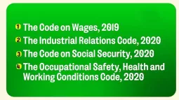 Four Labour Codes Notified By Centre, Effective Immediately