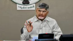 Green Energy To Aqua Industry: CM Chandrababu Naidu's Key Announcements