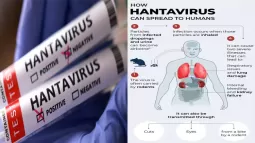 Hanta Virus In India: Current Risk And Safety Guidance
