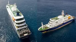 Hanta Virus Outbreak On Cruise Ship: What WHO Says About The Risk