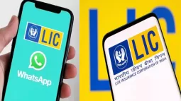 LIC Launches Premium Payment Facility On WhatsApp Bot