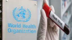 No Risk To Other Countries From Nipah: World Health Organization