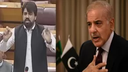 Pakistan MP Slams Prime Minister For Inaction Following India's Operation Sindoor