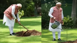 PM Modi Plants 'Sindoor' Sapling On Environment Day
