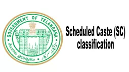 SC Classification: Government Extends Single-Member Commission's Term