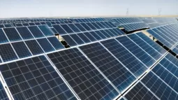 Solar Rooftop Initiative Gains Momentum