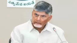The Prime Minister's Visit Should Be Successful: AP CM Chandrababu Naidu's Call To Leaders