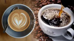 The Science Behind Coffee's Bitterness: Genetic Secrets Revealed