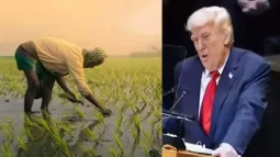 US Signals Possible Additional Tariffs On Indian Rice Imports