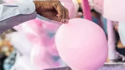 Cotton Candy & Gobi Manchurian: Rhodamine-B Ban Update In Karnataka