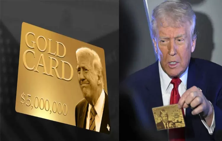 Trump Gold Card May See Strong Interest In India, Says US Official