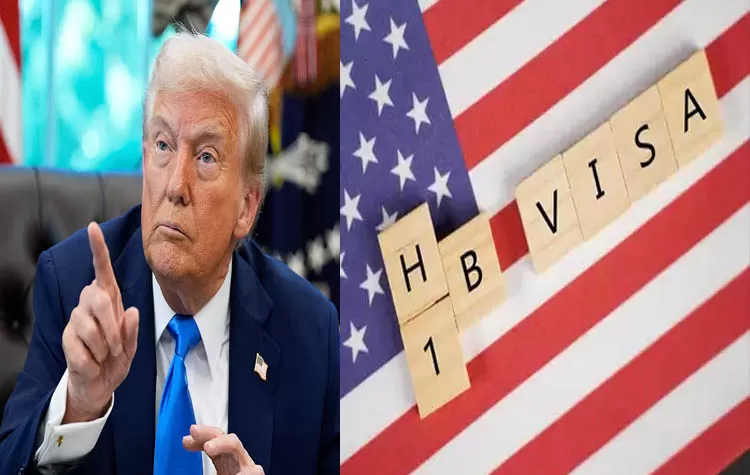 Trump's H-1B Visa Fee Hike Could Cost US Companies $14 Billion