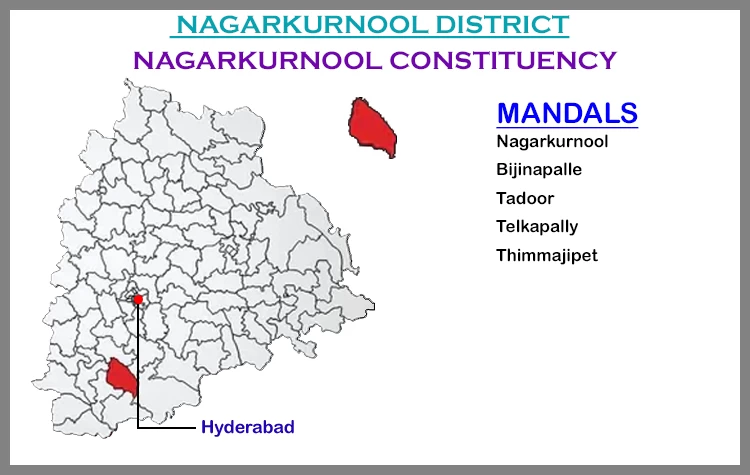 TS Elections Nagarkurnool 2023 Results Comparison To 2018 Candidates And Voters Details